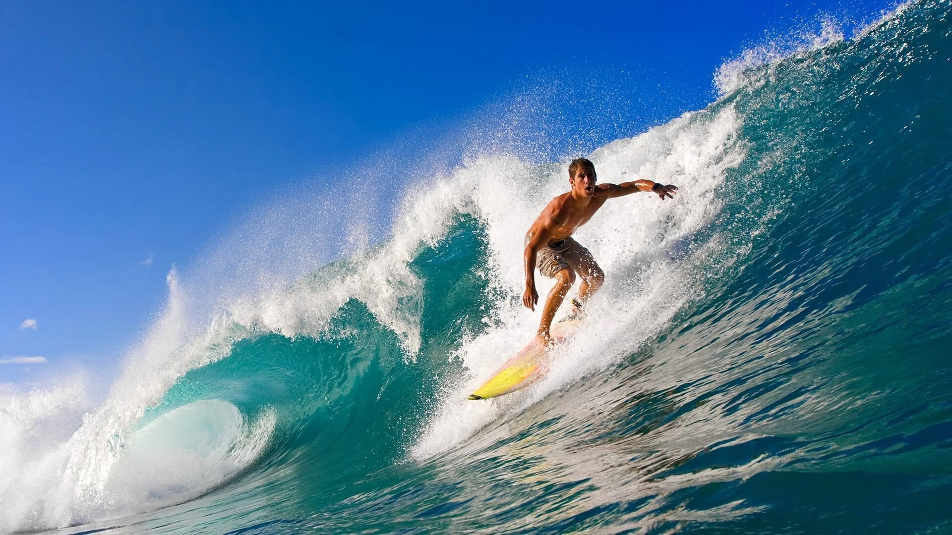 德甲首回合激情夜！樊振东里突外投，曼城惊险洛杉矶快船